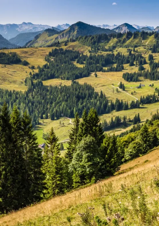 Paisatge alpí verd a Àustria amb muntanyes al fons