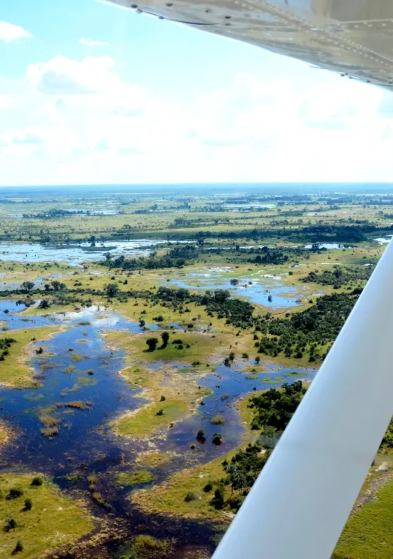 Vista aèria del Delta de l’Okavango des d’una avioneta