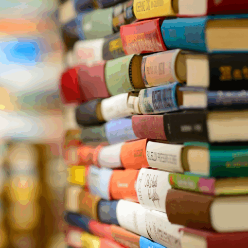 llibres de viatges