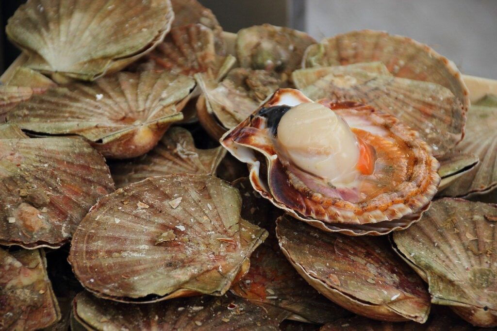 Feria do Marisco