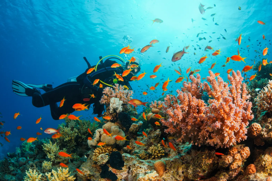 viatge a indonèsia, viaje a Indonesia