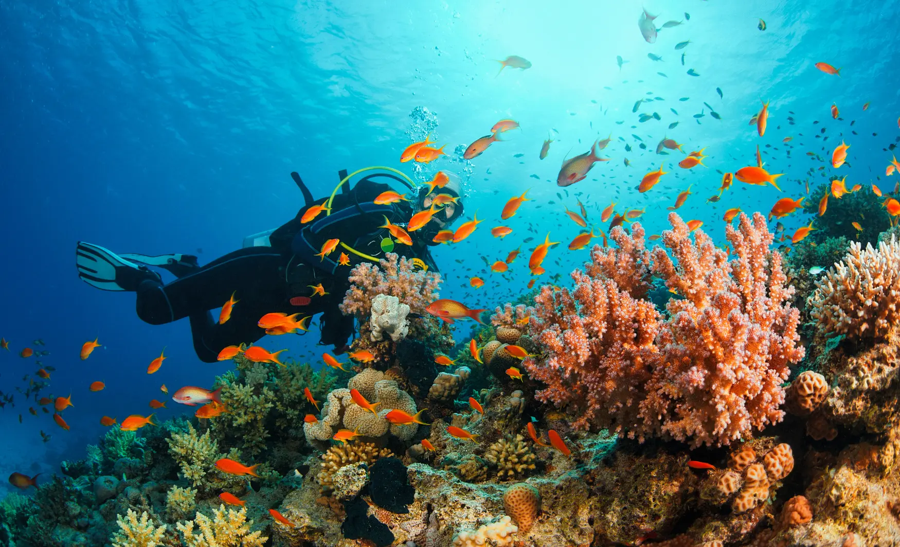 viatge a indonèsia, viaje a Indonesia