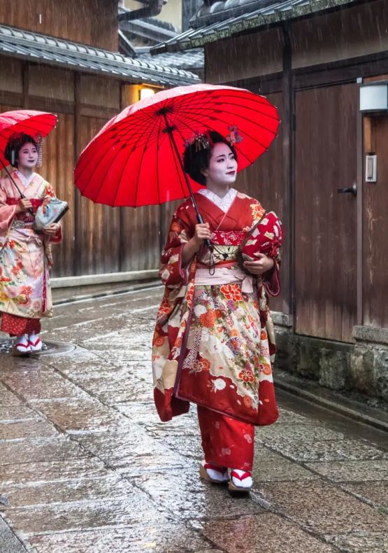 Viaje cultural a Japón, viatge cultural a Japó