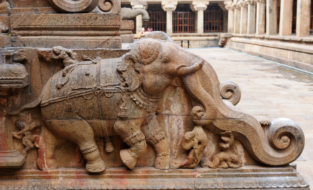 india y los elefantes, índia i els elefants