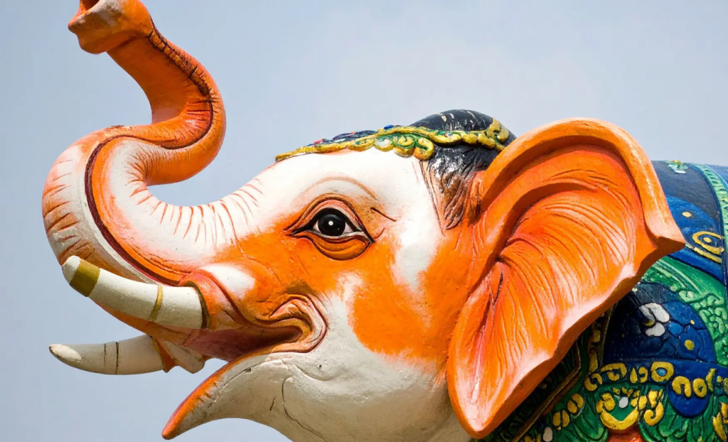 elefants a l'Índia, elefantes en la India