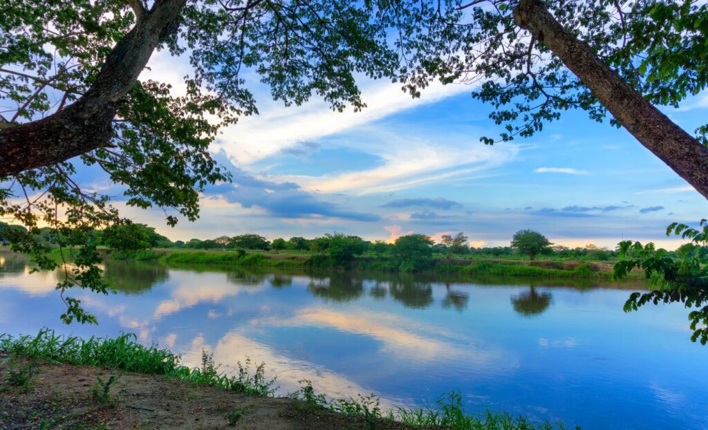 viatge únic Colòmbia