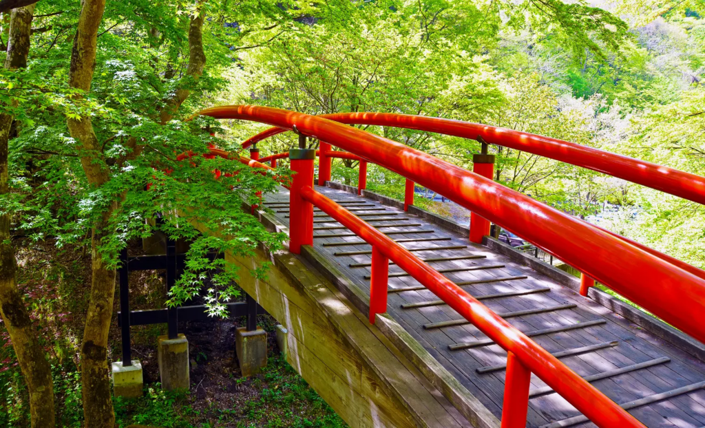 Ruta pel Japó, ruta por Japón 