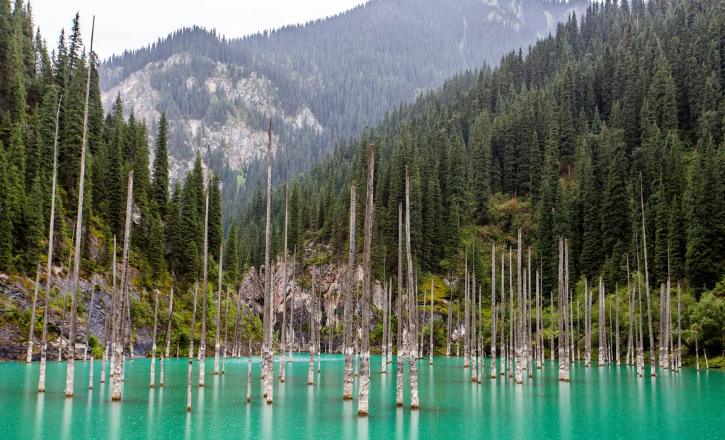 Viaje personalizado al Kazajistán