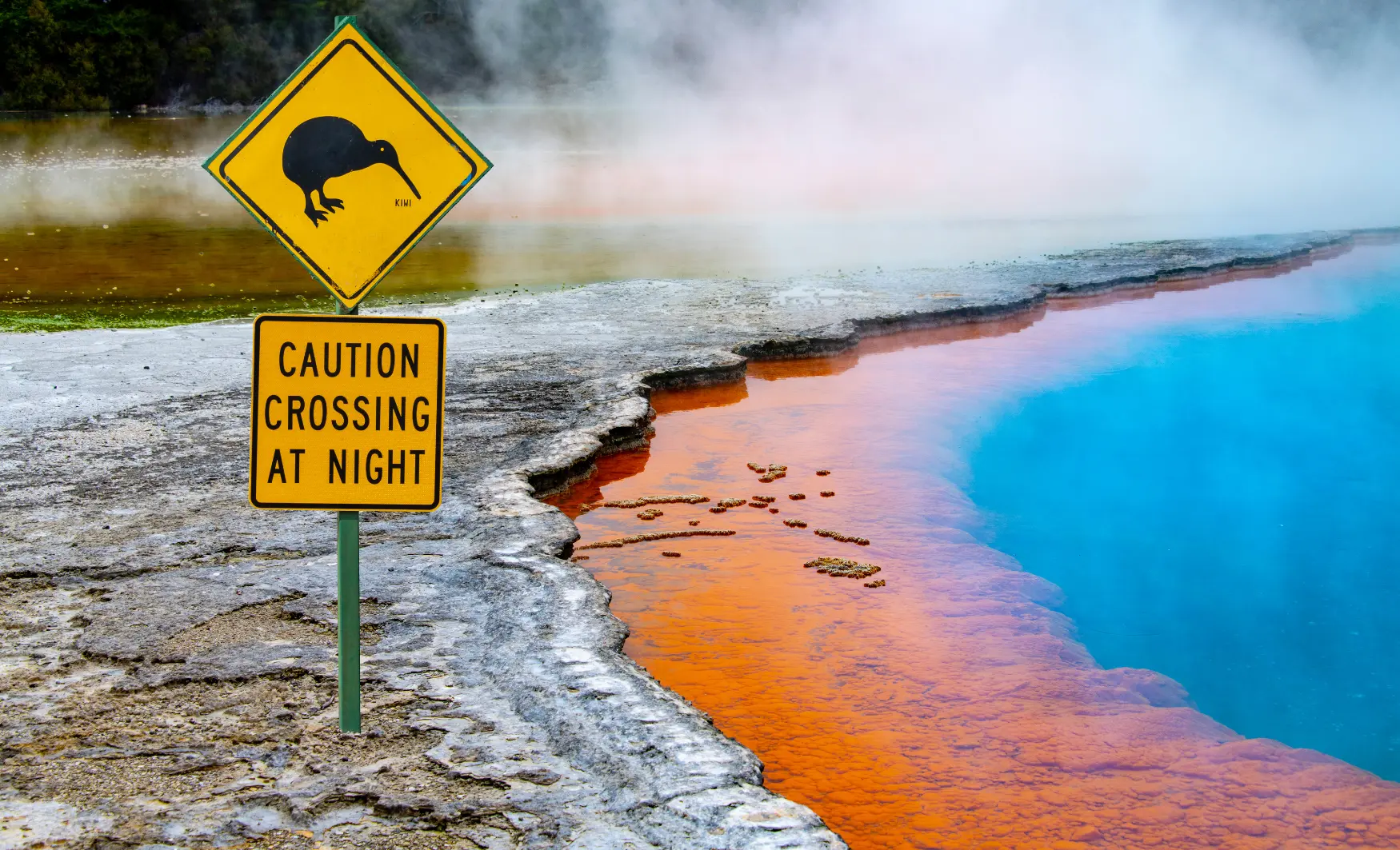 viatge diferent a nova zelanda