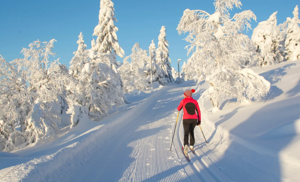ski de fons a la Lapònia