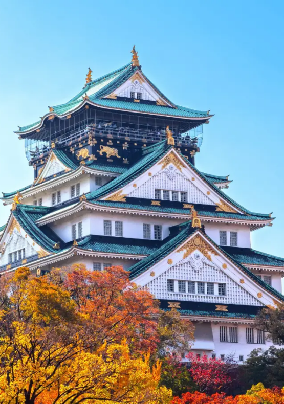 ruta exclusiva per Japó