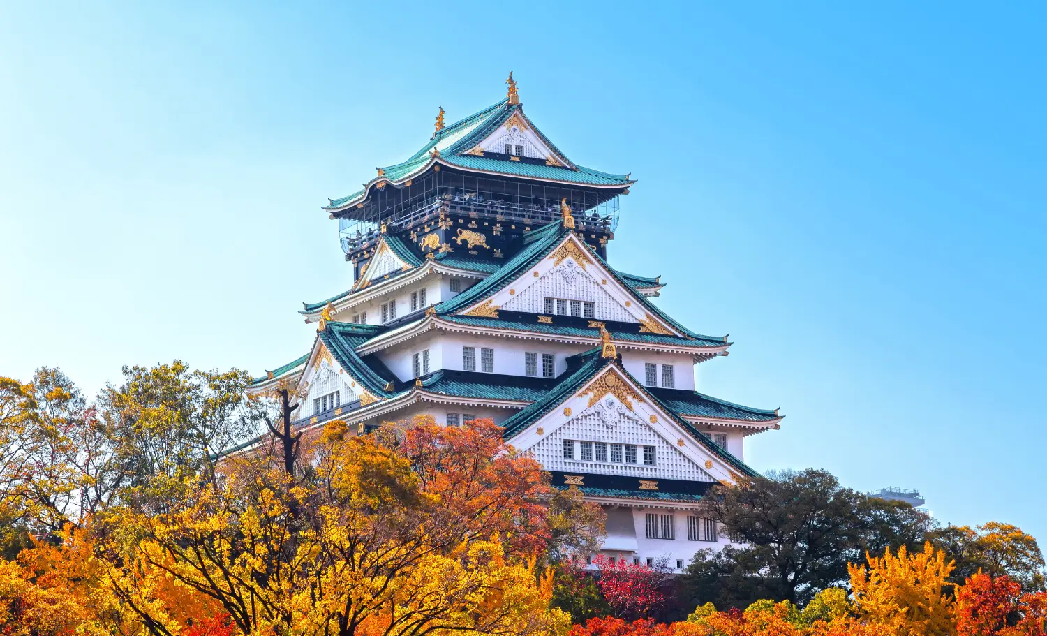 ruta exclusiva per Japó, ruta exclusiva por Japón