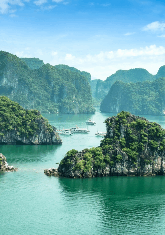 creuer per la Badia de Halong