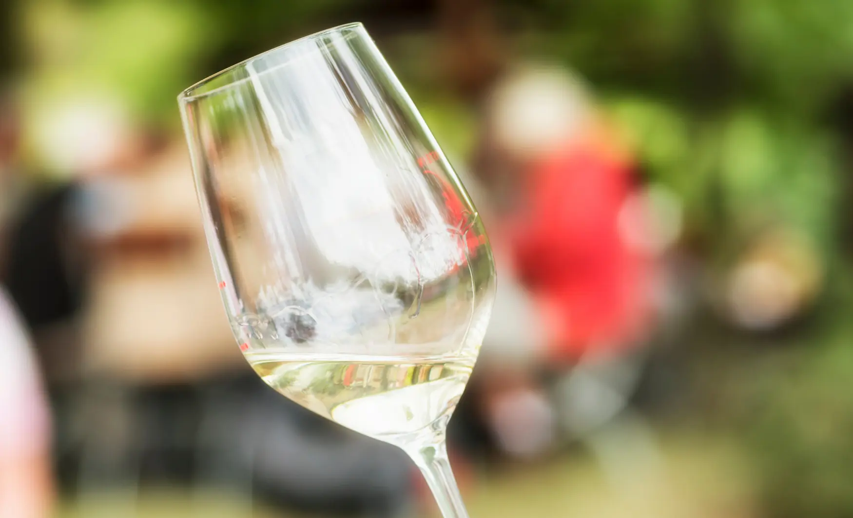 ruta vinícola en el Rin y Moselas