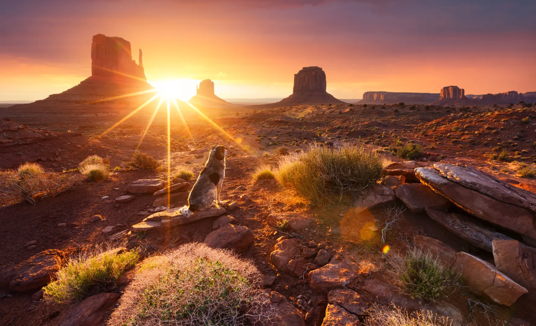 Ruta pels Parcs dels Estats Units