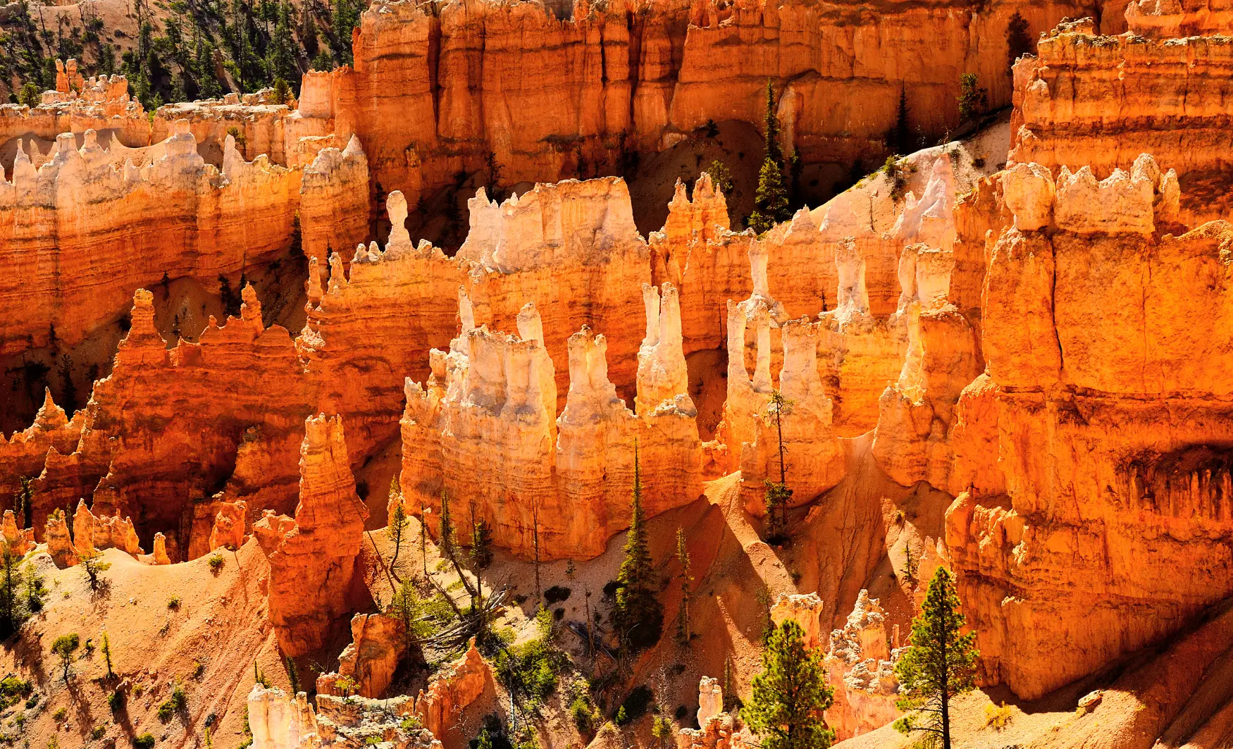 Viatges organitzats als Estats Units