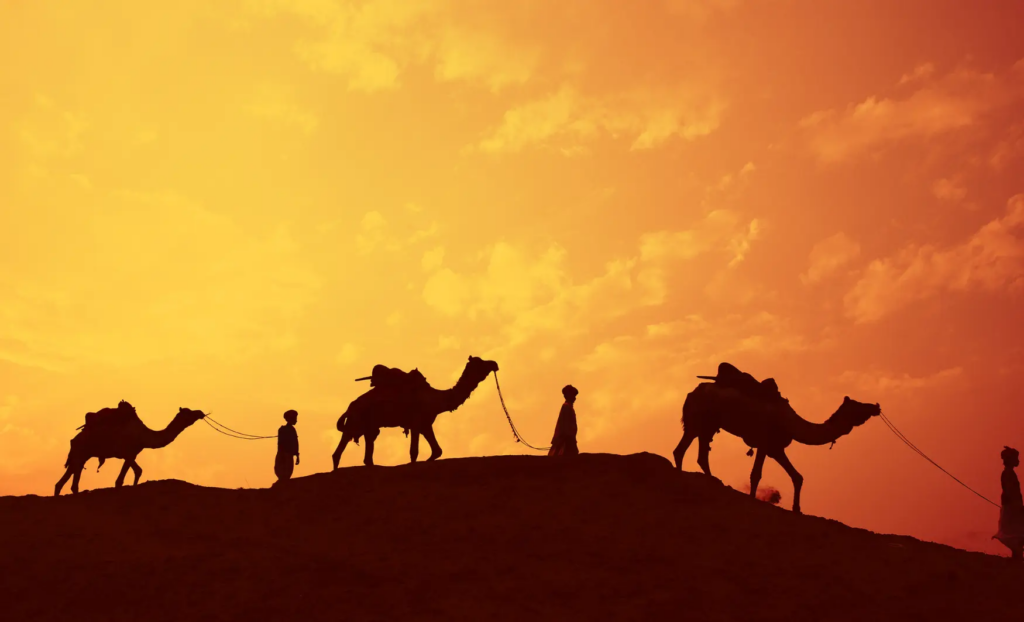 A la recerca dels reis mags, búsqueda de los reyes magos