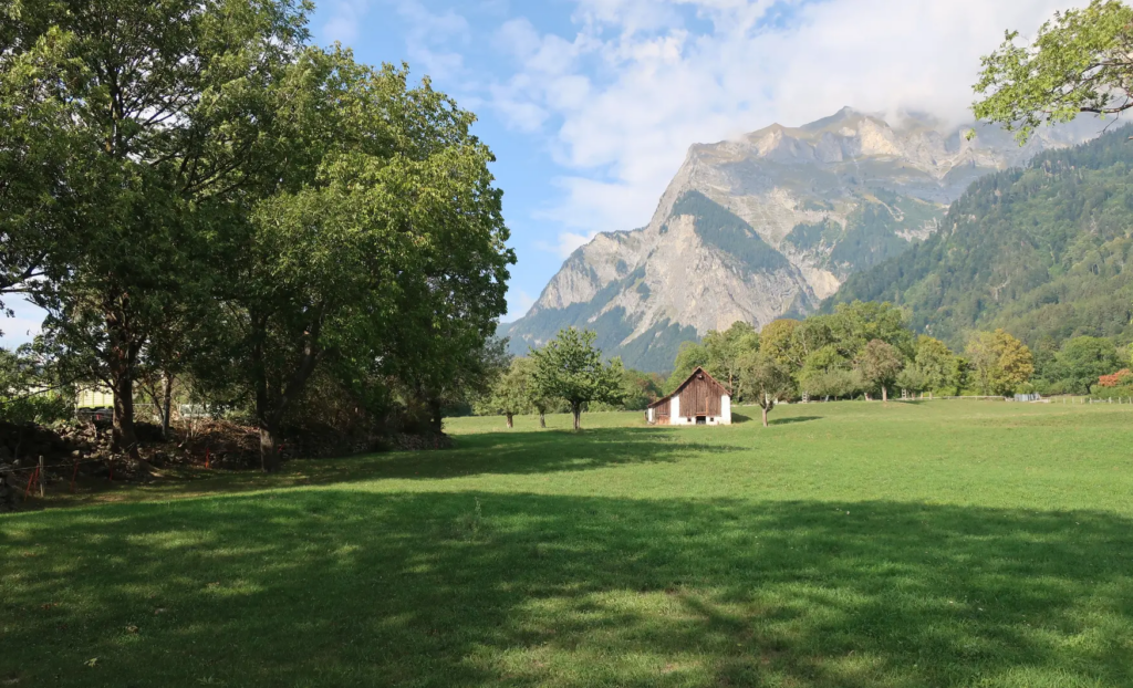 Viaje a medida a Suiza