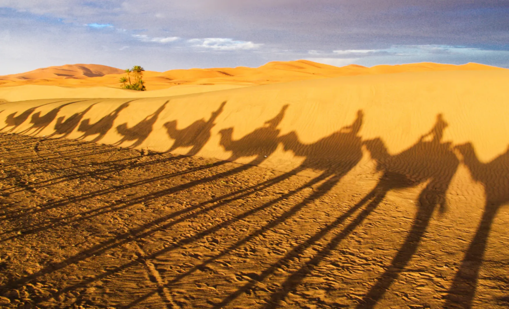 recerca dels Reis Mags