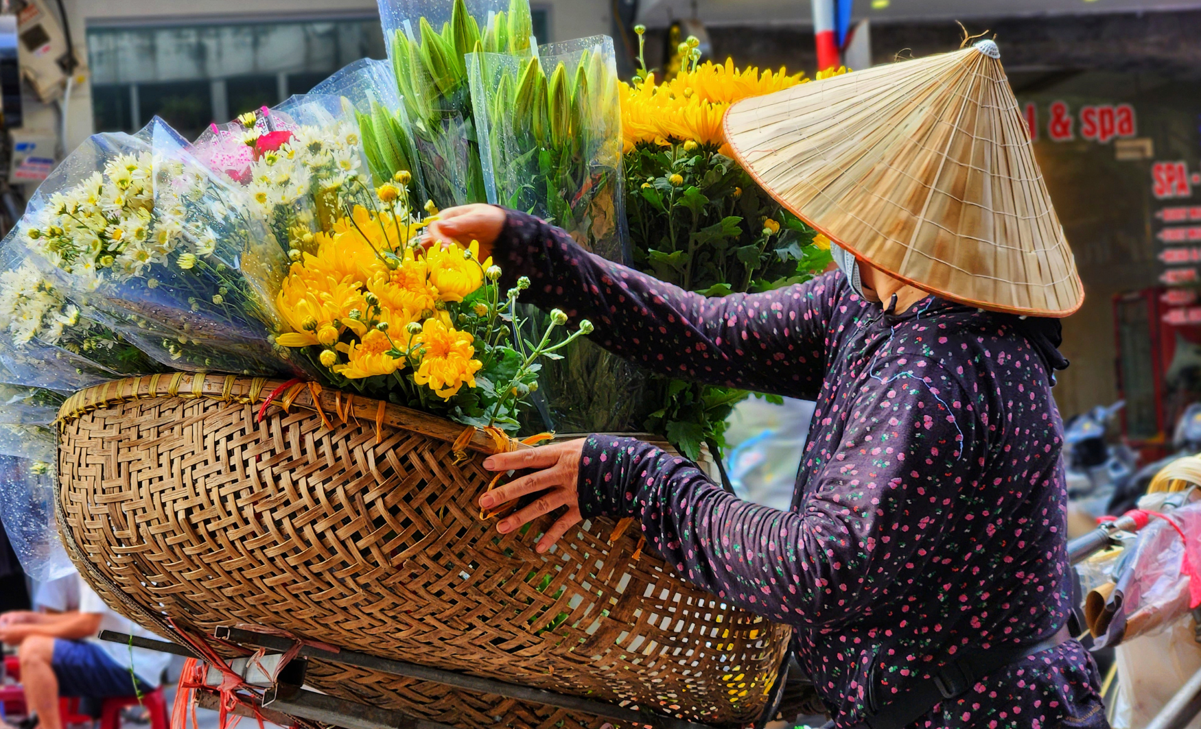 Viaje de novios al Vietnam