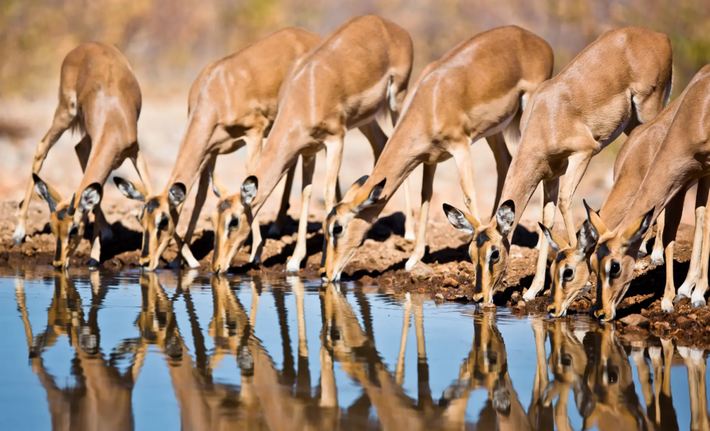 viaje a medida a Namibia