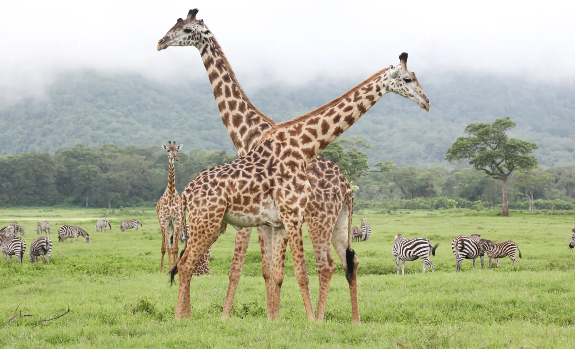 viaje a Tanzania y Zanzíbar