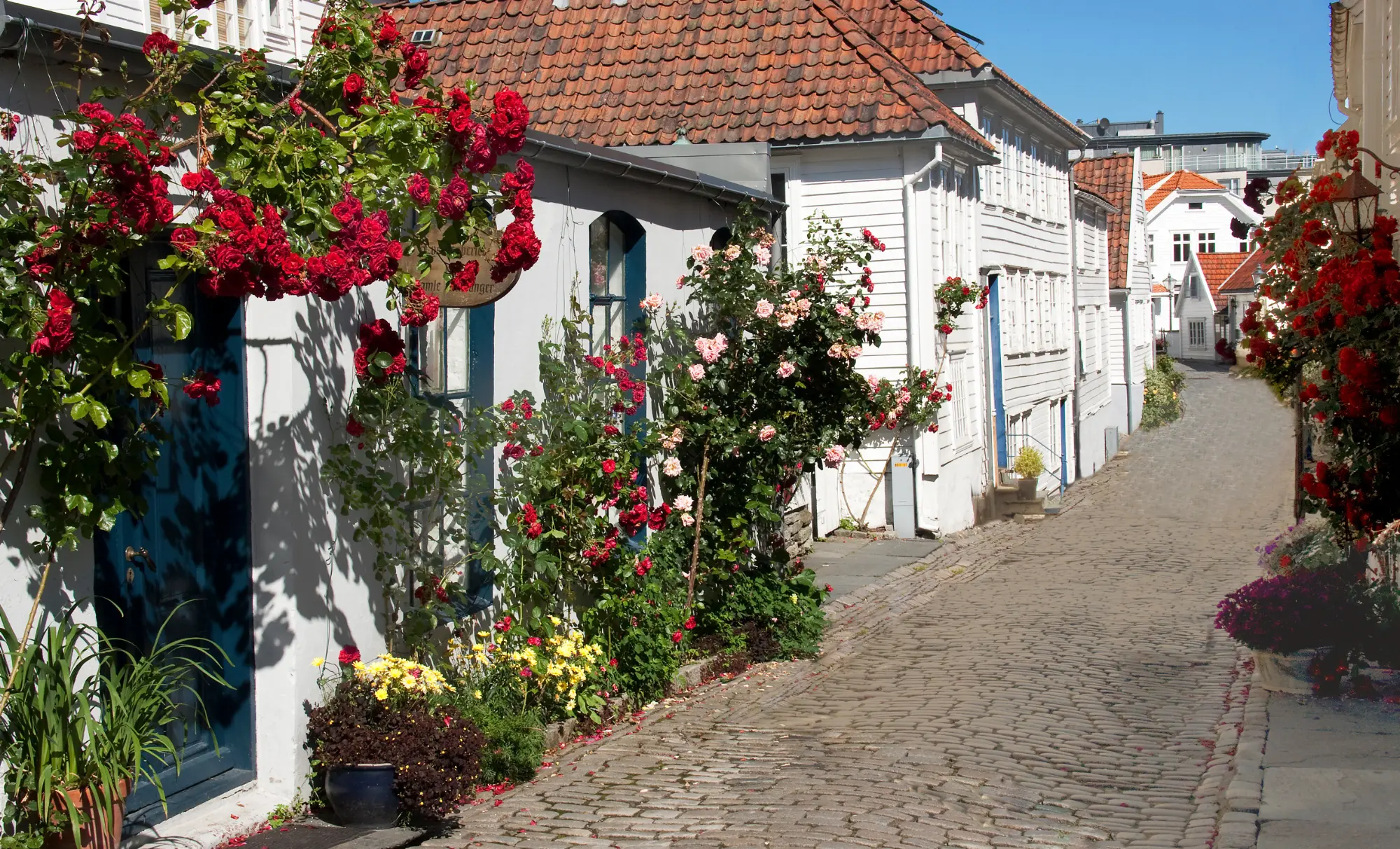 viatge a Noruega amb nens