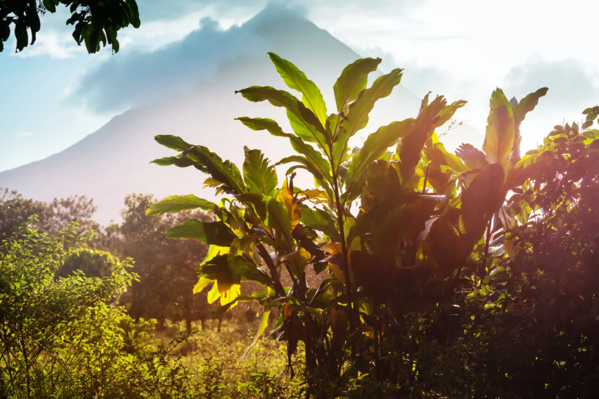 viatge a Costa Rica i Panamà