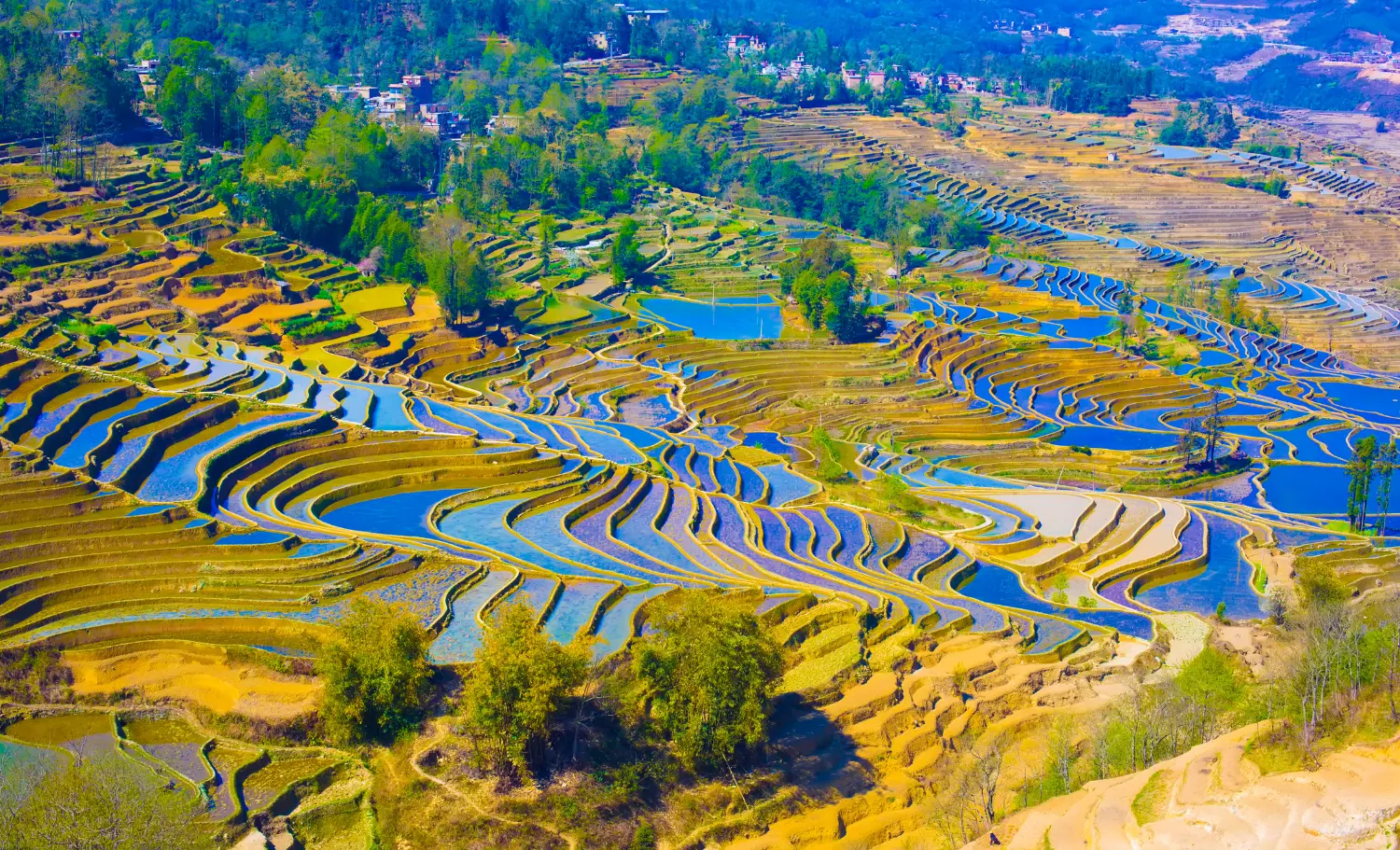 visita a las terrazas de arroz en china, viaje de novios a China