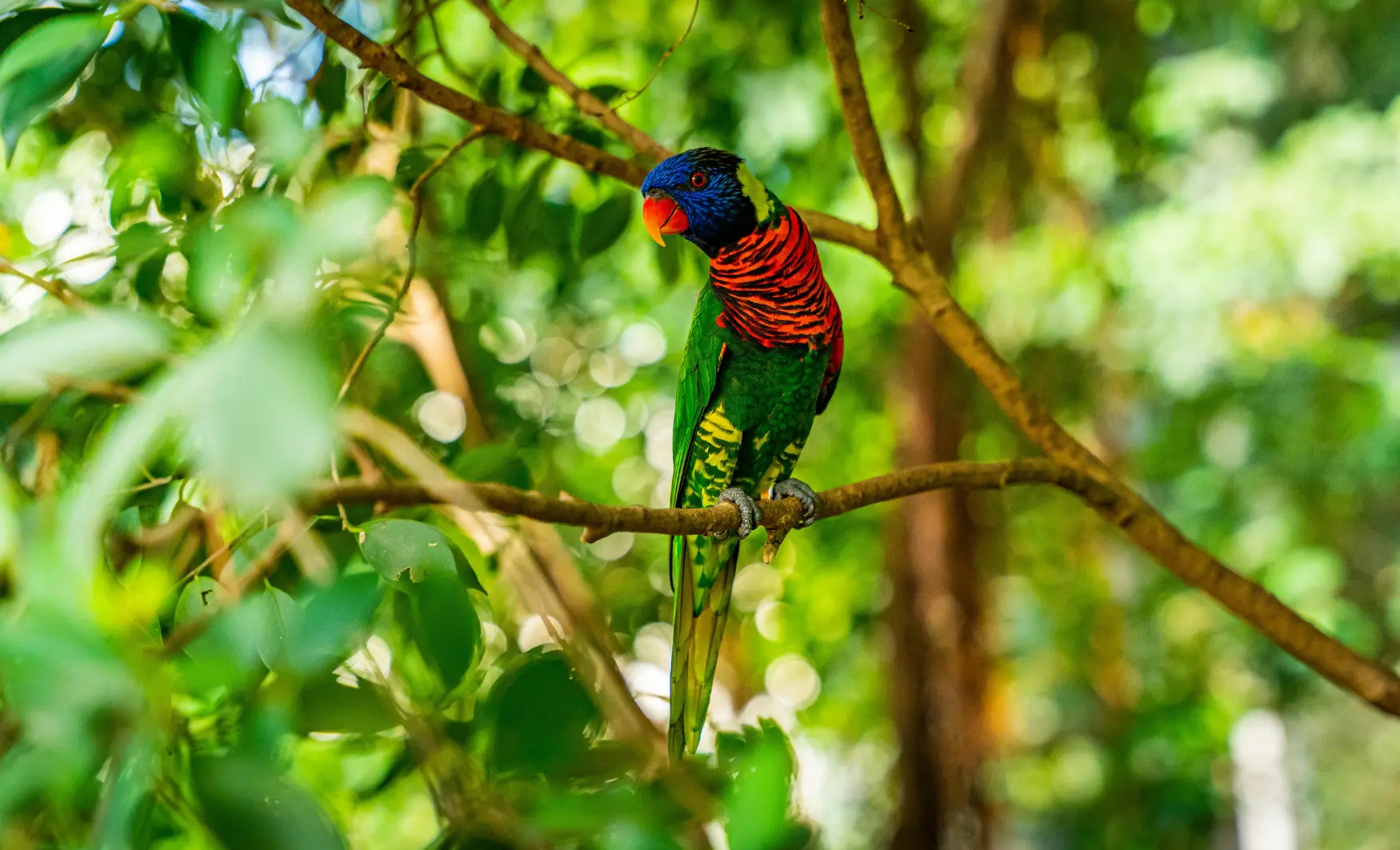 Ecoturismo a Filipines