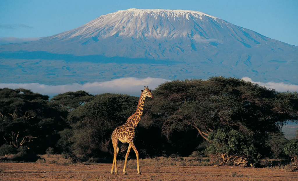 viatge de noces a Tanzània