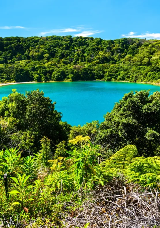 Viatge a mida a Costa Rica