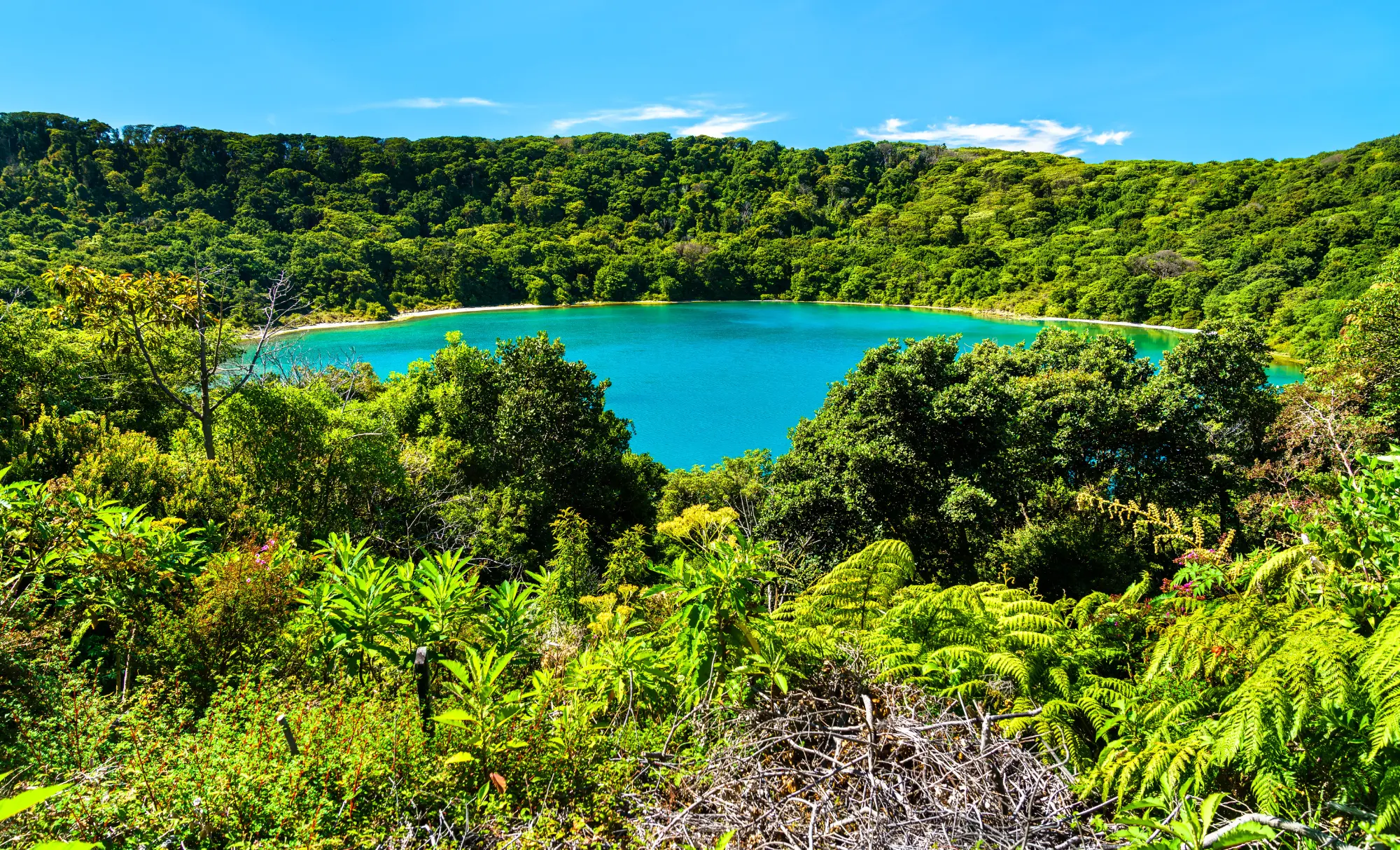 Viatge a mida a Costa Rica