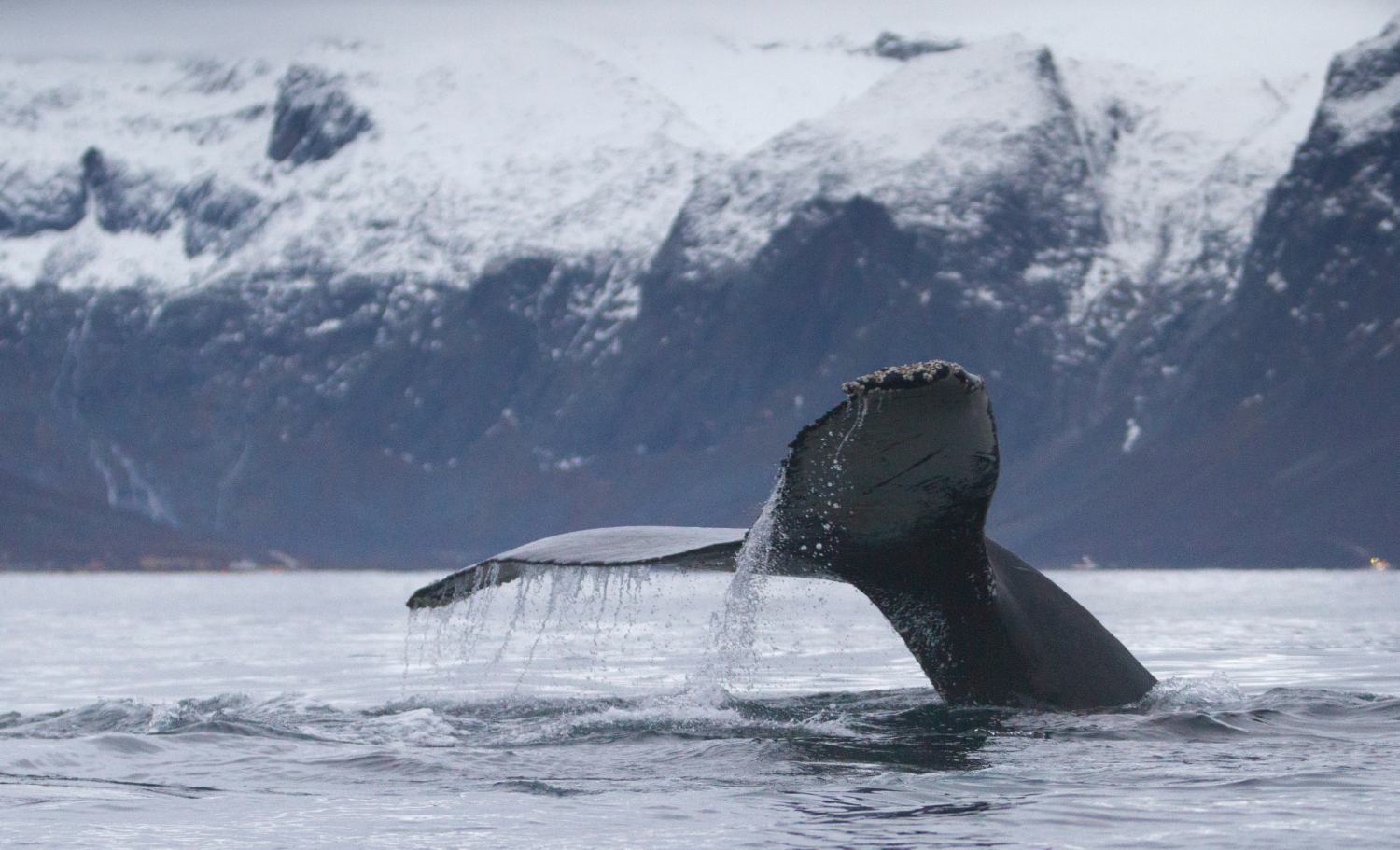 viatge a mida a Noruega, viaje a medida a Noruega