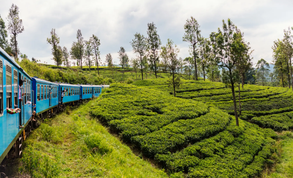Viatge diferent a Sri Lanka I Maldives