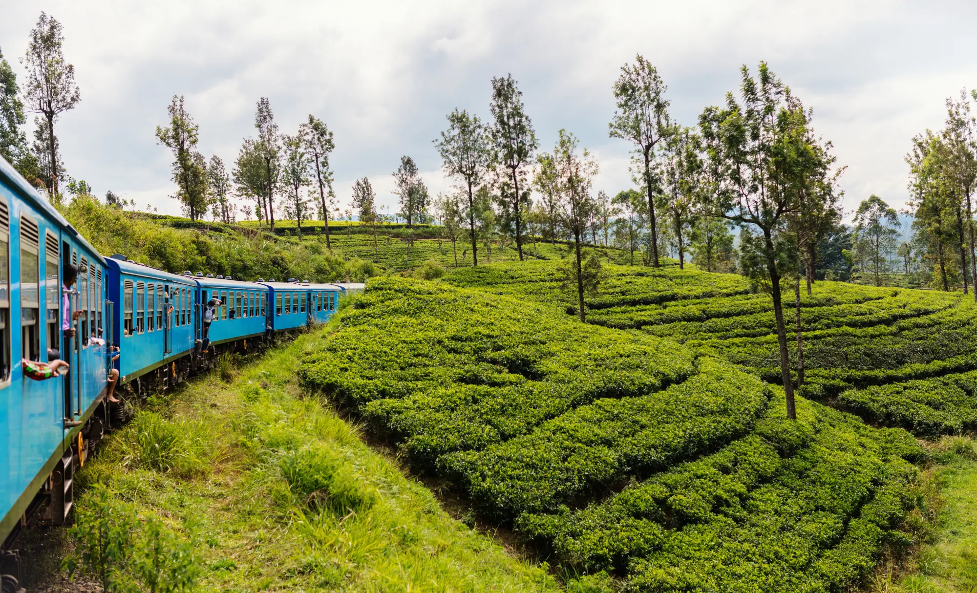 Viatge diferent a Sri Lanka I Maldives