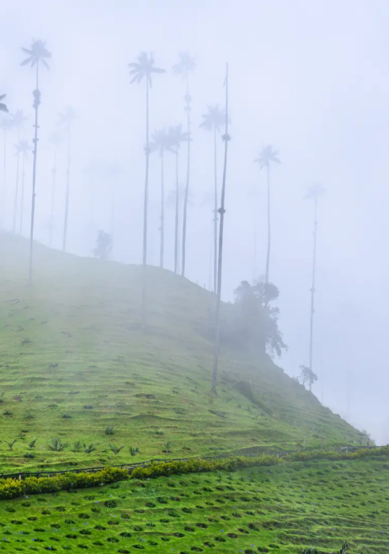Viatge diferente a Colombia, viaje diferente a Colombia