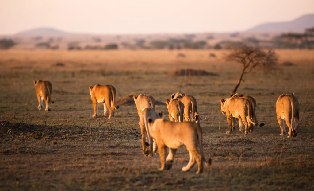 Viaje de aventura a Tanzania