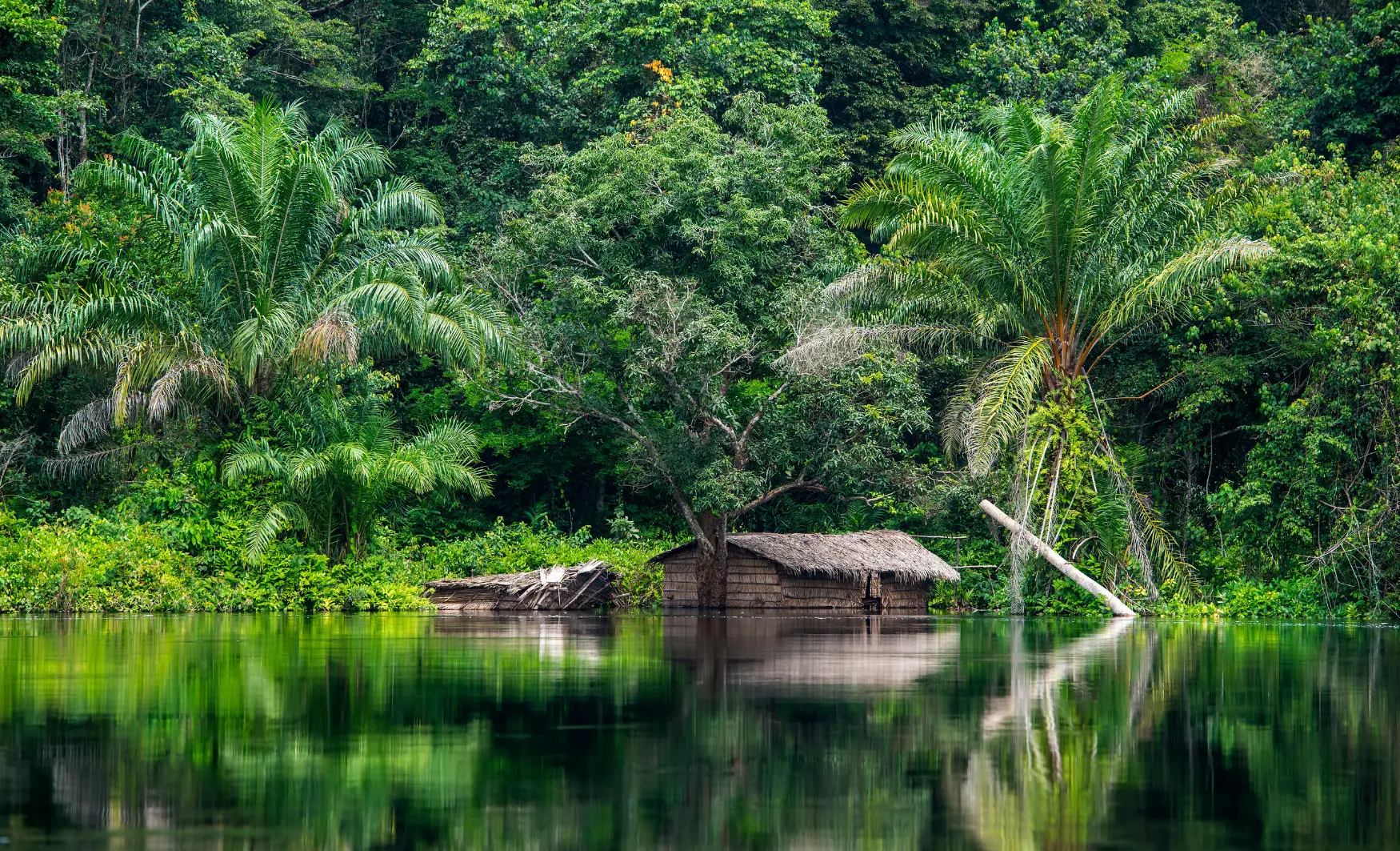 Viatge a mida al Congo