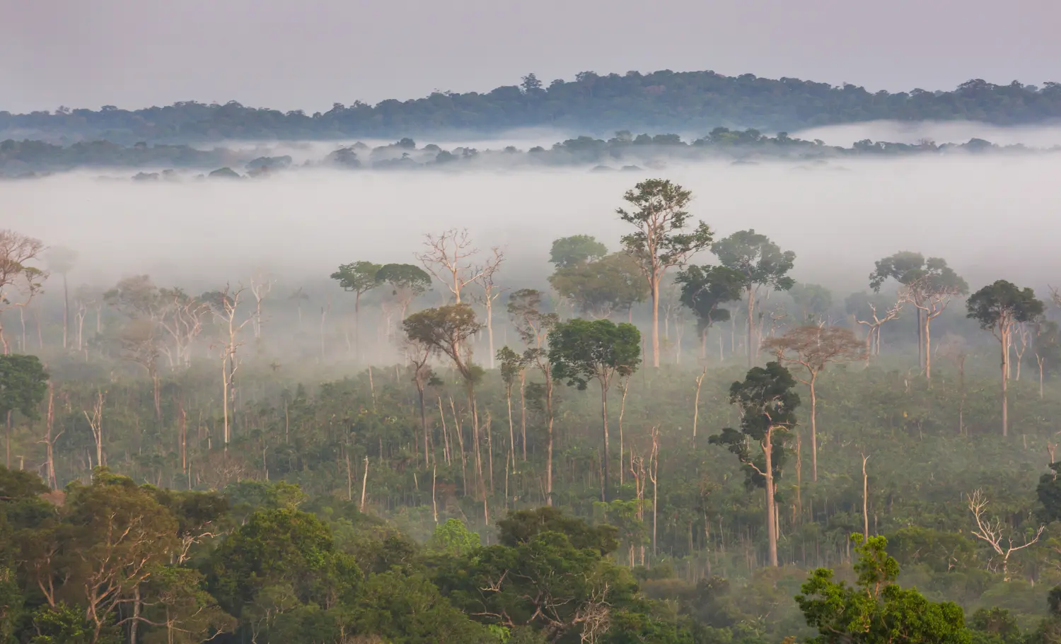 viatge a Brasil, viaje a Brasil
