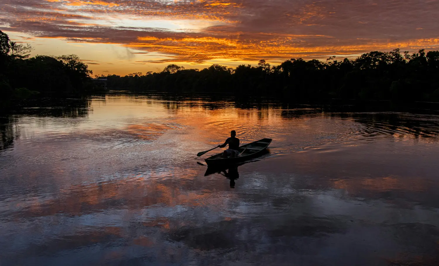 viatge a l'Amazònia del Brasil, viaje a la Amazonia de Brasil