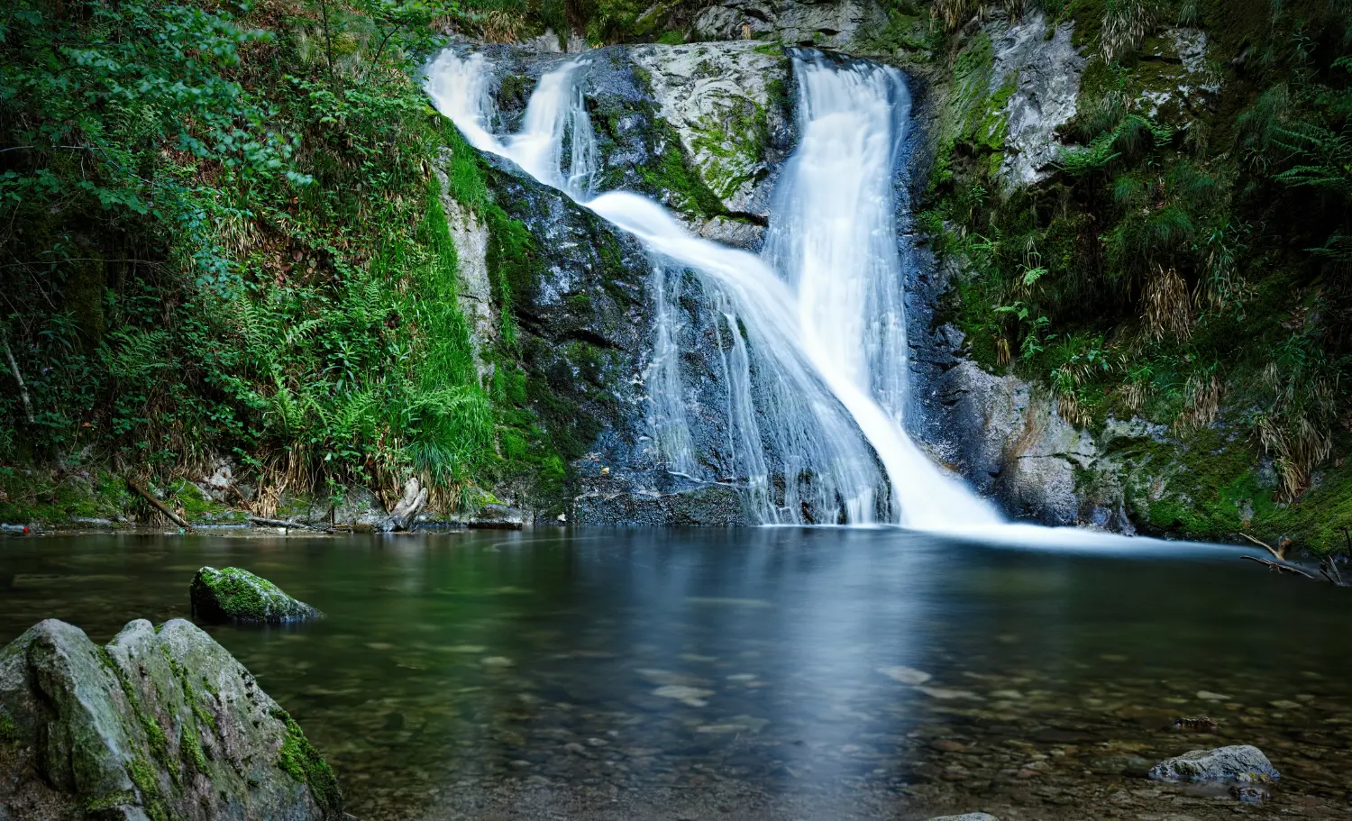 viaje a la Selva Negra