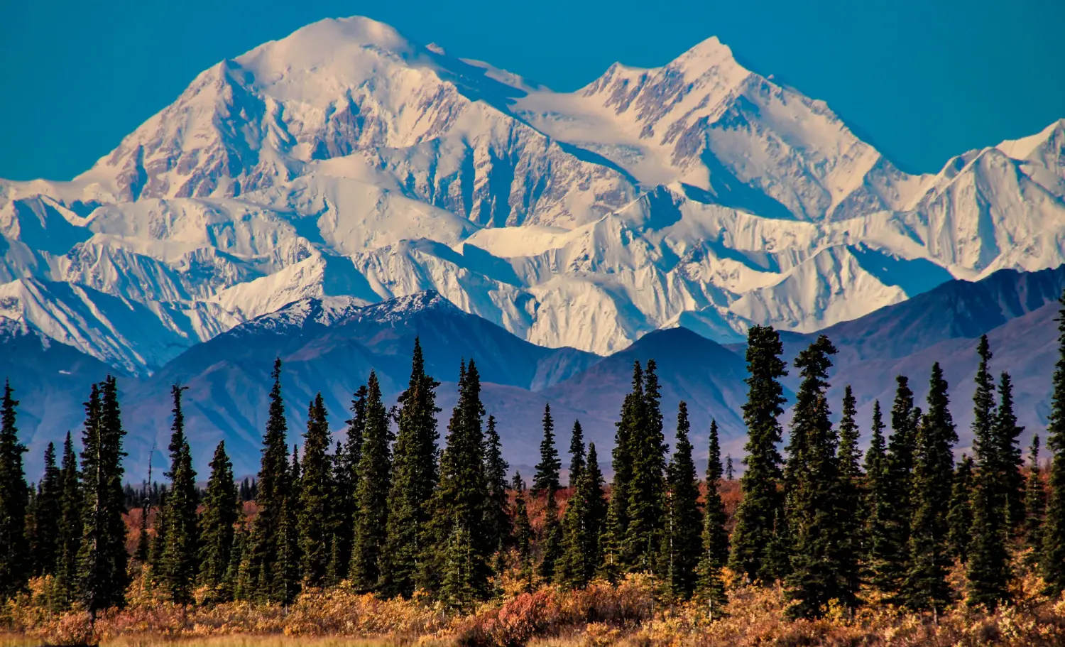 Viatge a mida a Alaska, viaje a medida por Alaska