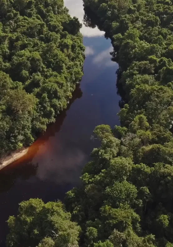 viatge a l'Amazònia, viaje a la Amazonia