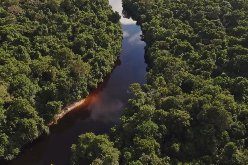 viatge a l'Amazònia, viaje a la Amazonia