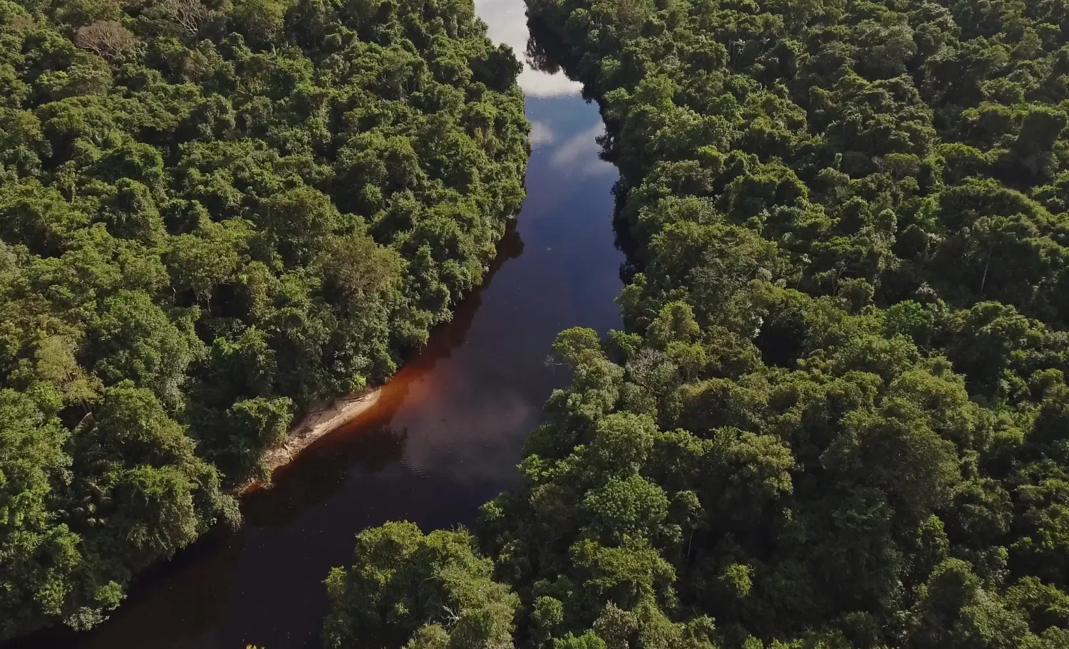 viatge a l'Amazònia, viaje a la Amazonia