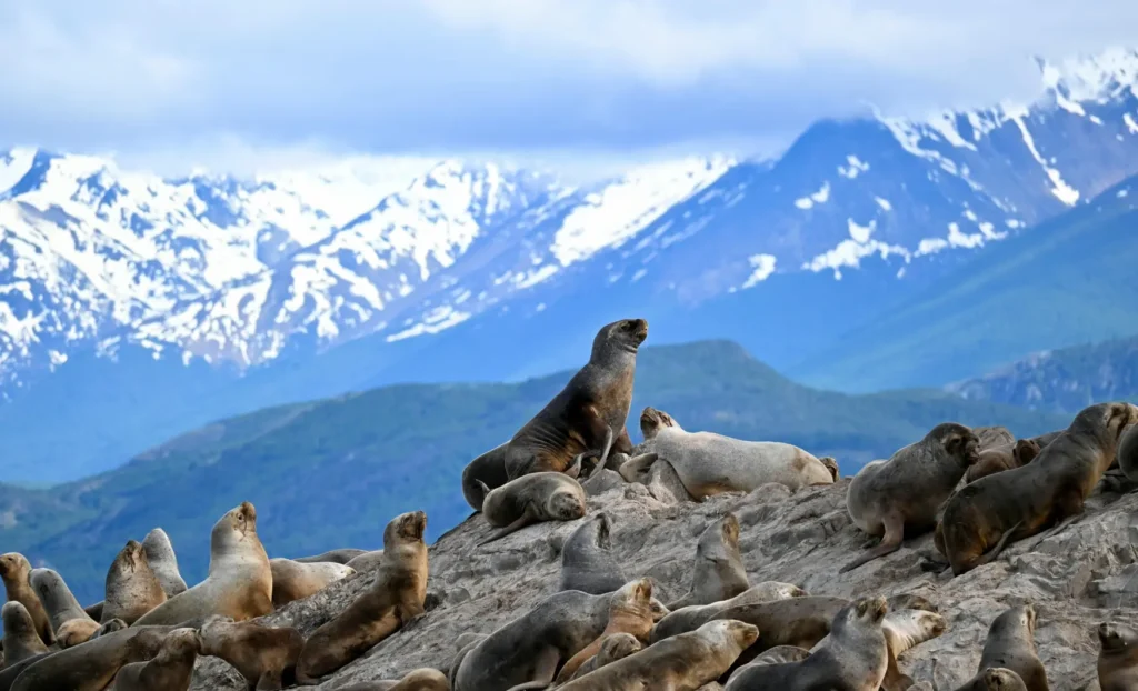 viatge organitzat a l'Argentina, viaje organizado a Argentina