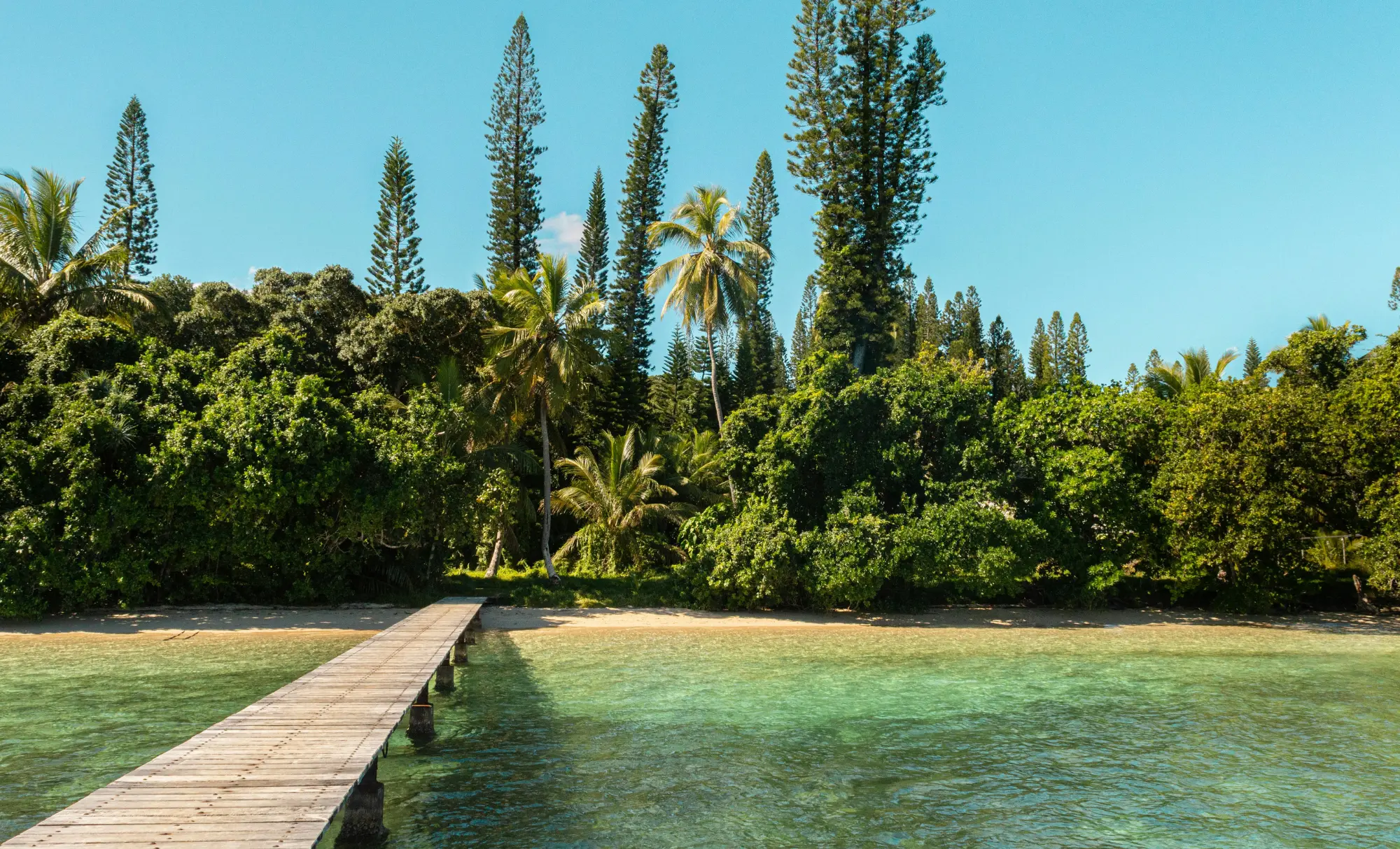 viaje diferente a Nueva Caledonia