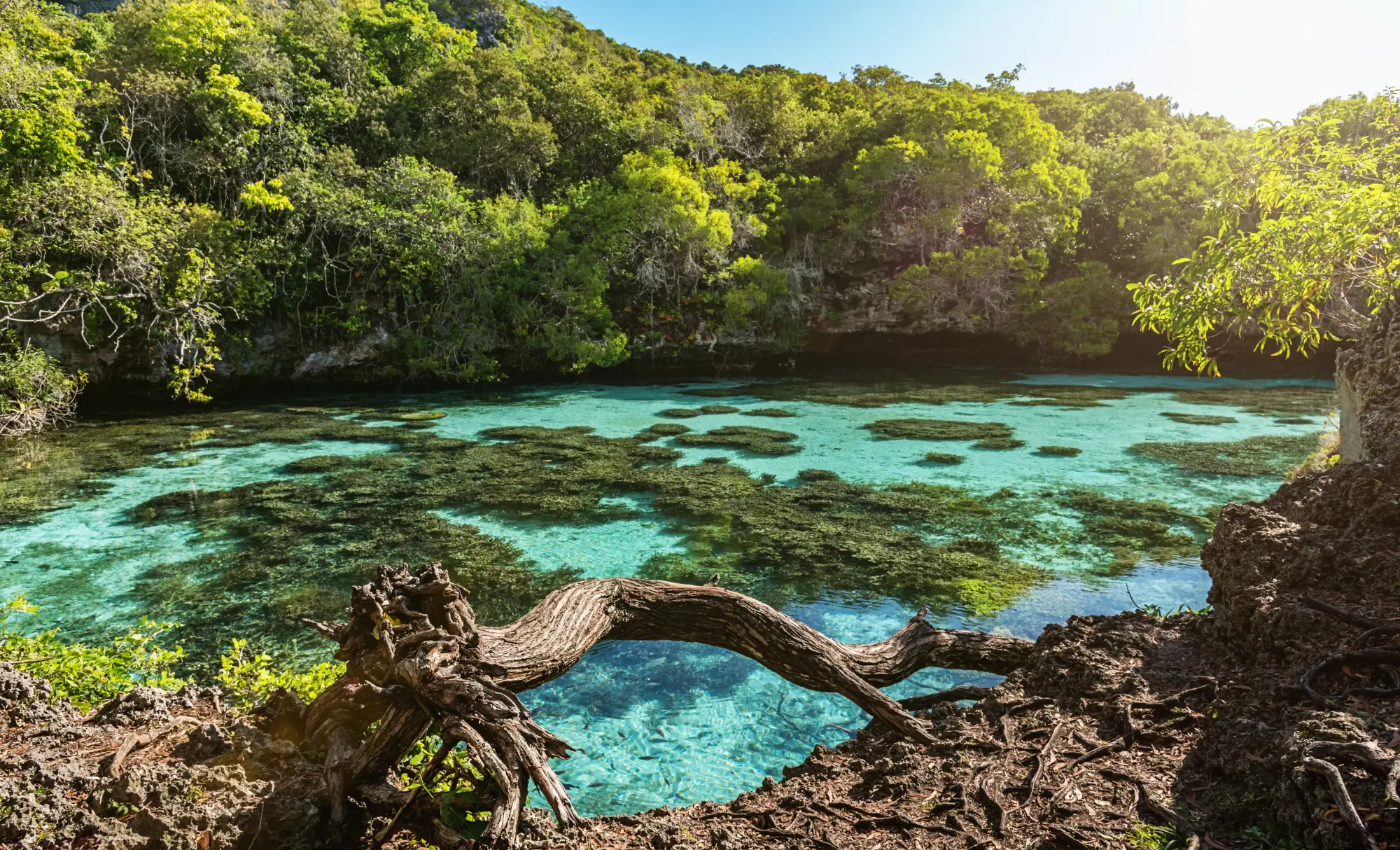 viajes a medida en Nueva Caledonia
