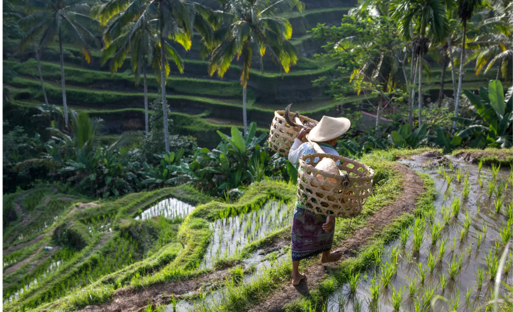 viaje diferente a Bali, viatge diferent a Bali